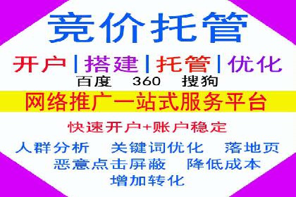 SEM托管服务案例分享：优化策略，提高ROI