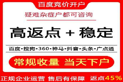 行业领先企业的SEM广告投放策略案例